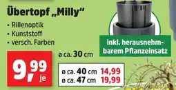 Thomas Philipps Übertopf "Milly" Angebot