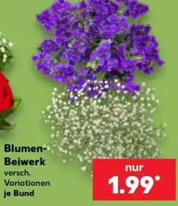 Kaufland Blumen-Beiwirk Angebot