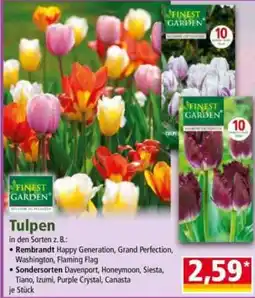 Norma Finest Garden Tulpen Angebot