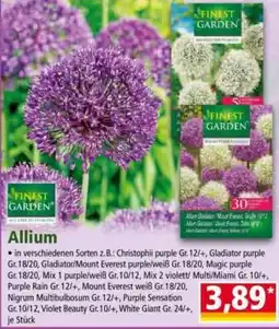 Norma Finest Garden Allium Angebot