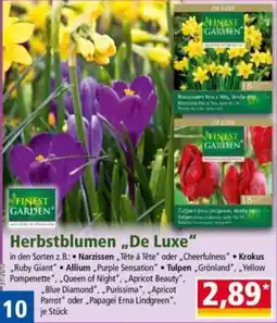 Norma Herbstblumen "De Luxe" Angebot