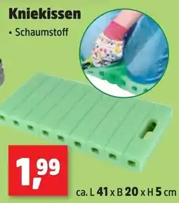 Thomas Philipps Kniekissen - Schaumstoff Angebot