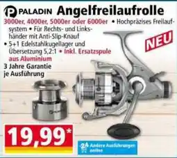 Norma PALADIN Angelfreilaufrolle Angebot