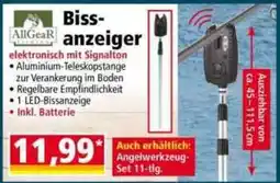 Norma AllGeaR Biss-anzeiger Angebot