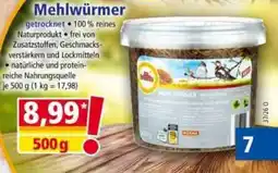 Norma Mehlwürmer Angebot