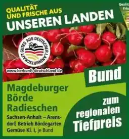 Norma Magdeburger Börde Radieschen Angebot