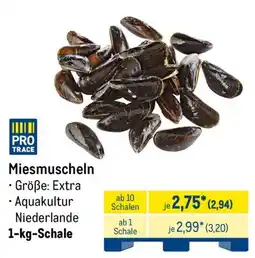 METRO PRO TRACE Miesmuscheln Angebot