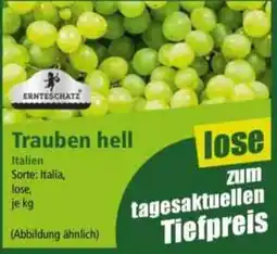 Norma Trauben hell Angebot