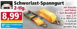 Norma DIAMOND CAR Schwerlast-Spanngurt Angebot