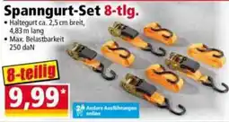 Norma Spanngurt-Set 8-tlg. Angebot