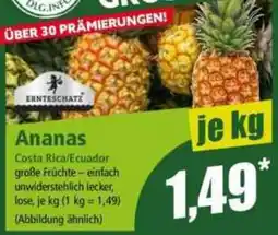 Norma Ananas ERNTESCHATZ Angebot