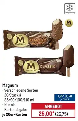 METRO Magnum Angebot