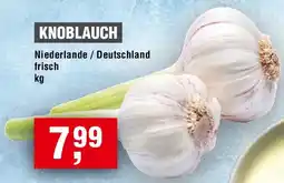 EDEKA Foodservice Knoblauch Angebot