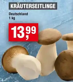 EDEKA Foodservice Kräuterseitlinge Angebot
