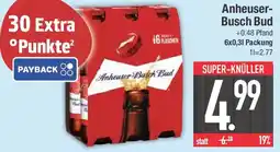 E-Center Anheuser Busch Bud Angebot