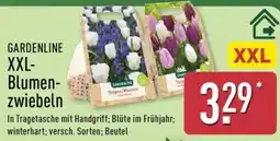 Aldi Nord GARDENLINE XXL-Blumenzwiebeln Angebot
