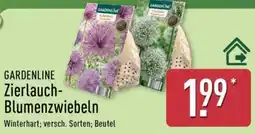 Aldi Nord GARDENLINE Zierlauch-Blumenzwiebeln Angebot