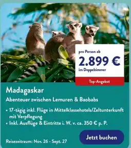 Aldi Nord Madagaskar Abenteuer zwischen Lemuren & Baobabs Angebot