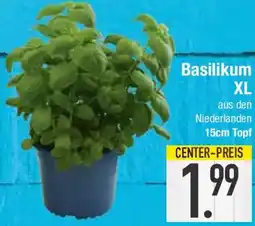 E-Center Basilikum XL Angebot