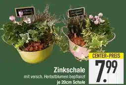 E-Center Zinkschale Angebot