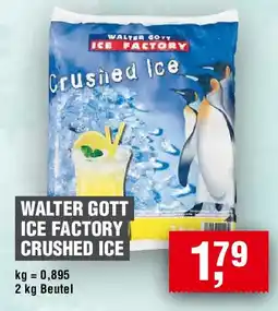 EDEKA Foodservice Walter gott ice factory crushed ice Angebot