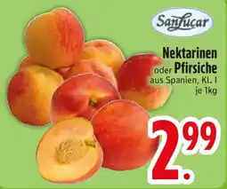 Edeka SanLucar Nektarinen oder Pfirsiche Angebot