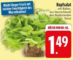Edeka Kopfsalat Angebot