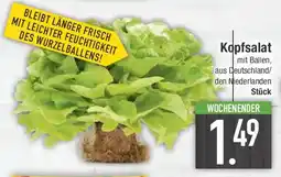 E-Center Kopfsalat Angebot