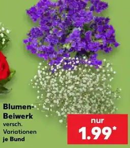 Kaufland Blumen-Beiwirk Angebot