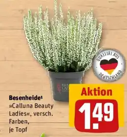REWE Besenheide Angebot