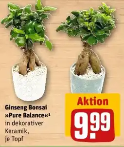 REWE Ginseng Bonsai Pure Balance Angebot