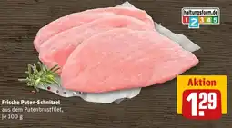 REWE Frische Puten-Schnitzel Angebot