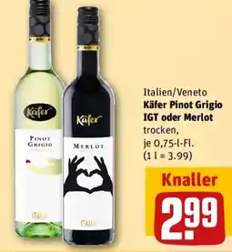 REWE Käfer Pinot Grigio IGT oder Merlot Angebot
