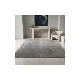 Netto Marken-Discount Teppich Kurzflor Waschbar ISAR in Silber, einfarbig, 240 x 340 cm Angebot