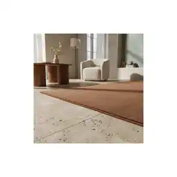 Netto Marken-Discount Kurzflorteppich Waschbar LECH, einfarbig, Braun, 160 x 230 cm Angebot