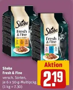 REWE Sheba Fresh & Fine Angebot