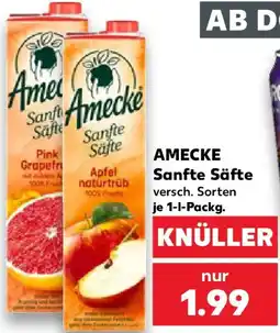 Kaufland AMECKE Sanfte Säfte Angebot