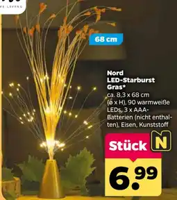 Netto Nord LED-Starburst Gras* Angebot