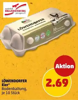PENNY LÖWENDORFER Eier Angebot