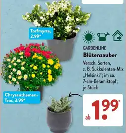 Aldi Süd GARDENLINE Blütenzauber Angebot