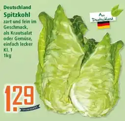 Klaas und Kock Spitzkohl Angebot