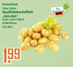 Klaas und Kock Qualitätskartoffeln DRILLINGE Angebot