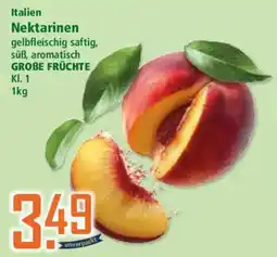Klaas und Kock Nektarinen Angebot