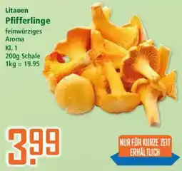 Klaas und Kock Litauen Pfifferlinge Angebot