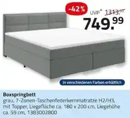 ROLLER Boxspringbett grau Angebot