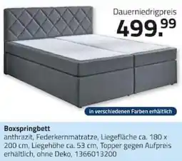 ROLLER Boxspringbett anthrazit Angebot