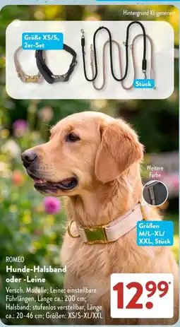 Aldi Süd ROMEO Hunde-Halsband oder -Leine Angebot