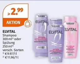Müller ELVITAL Shampoo Angebot