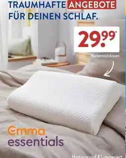 Aldi Süd Nackenstützkissen Angebot