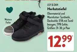 Aldi Süd LILY & DAN Herbststiefel Angebot
